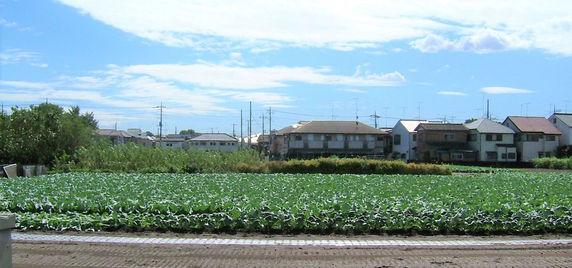 特定非営利活動法人友訪